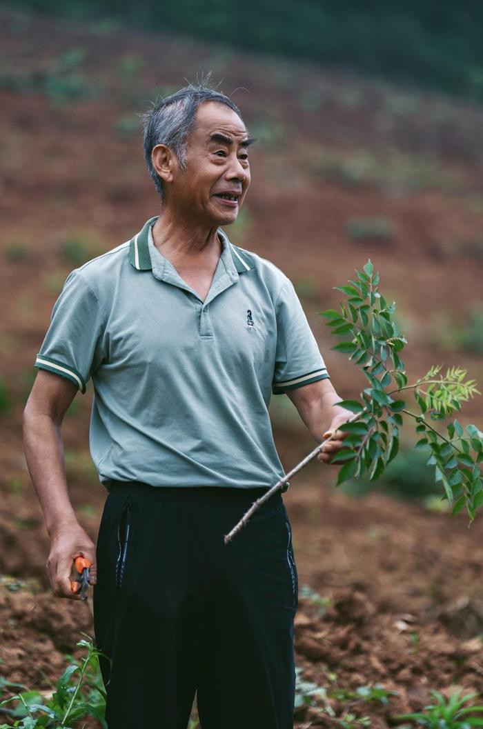 热点 | “追着春天跑”的老人自学成土专家，帮40万网友在线“避坑”......