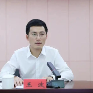 王波职务详情 w300h300z1l10t10q1009f0.jpg