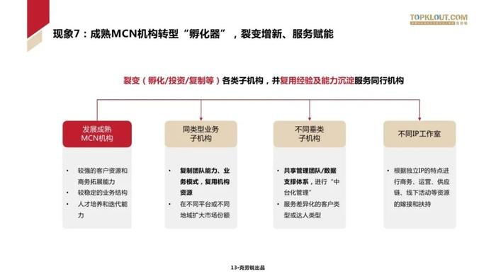 2024中国MCN行业发展研究报告（附下载）