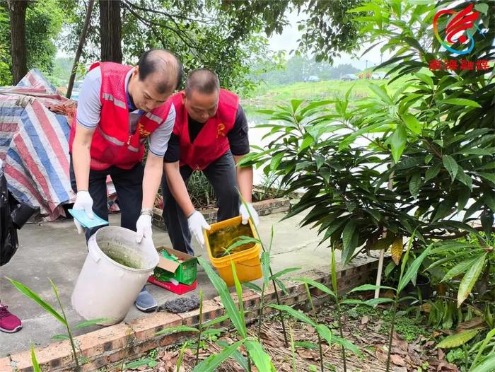 当心！佛山已出现登革热病例！无特效药，预防记住这样做→