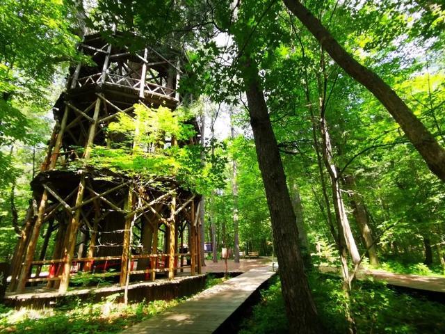 神山圣水好生态！It’s time to 长白山~