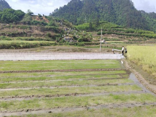 岑巩县注溪镇：翻犁乡村热土，播种振兴希望