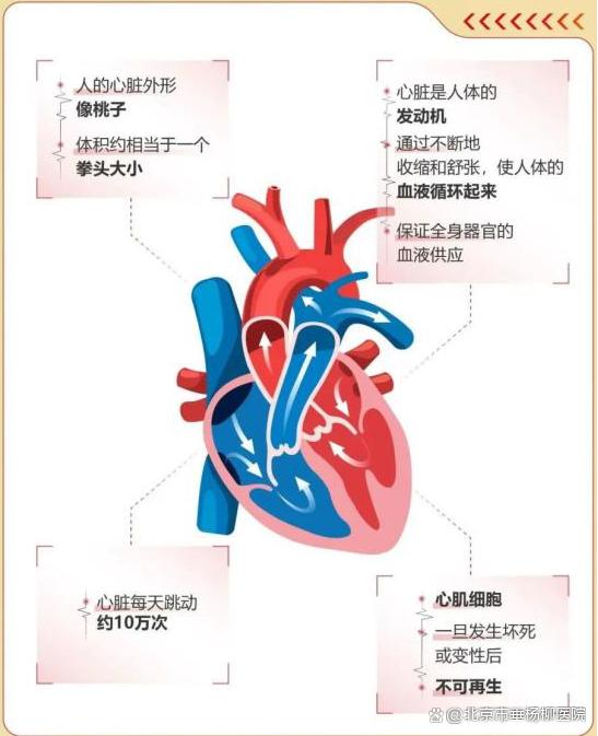 w700d1q75cms.jpg?by=cms_fixed_width