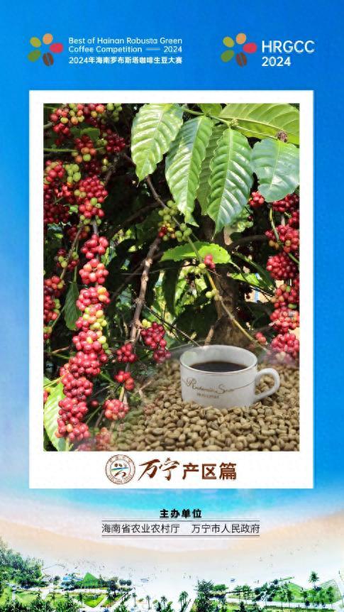“啡”尝不可 争强“豆”胜 | 2024年海南罗布斯塔咖啡生豆大赛即将来袭
