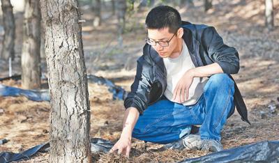 陕西省神木市返乡青年张至，深入毛乌素沙地植绿造林——“爱上治沙事业，干不尽，乐无穷”（我的家乡我建设）