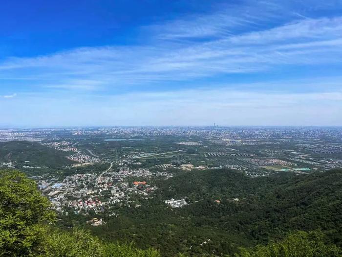 香山悠悠初夏时 绿意涌动山风拂面