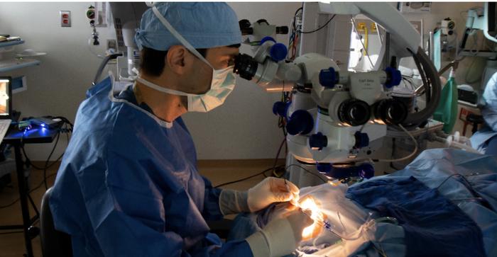 全球首次！基因编辑药物让22岁失明女子恢复视力