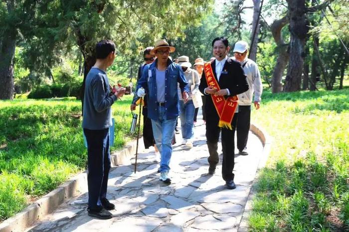 香山悠悠初夏时 绿意涌动山风拂面