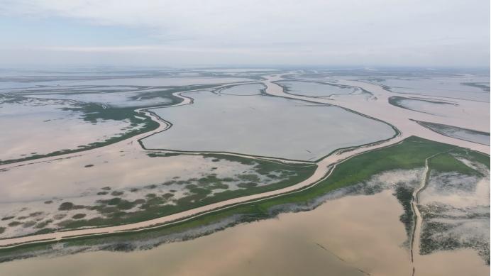 鄱阳湖保护修复不力等问题被通报，在外学习的市委书记第一时间提出整改要求