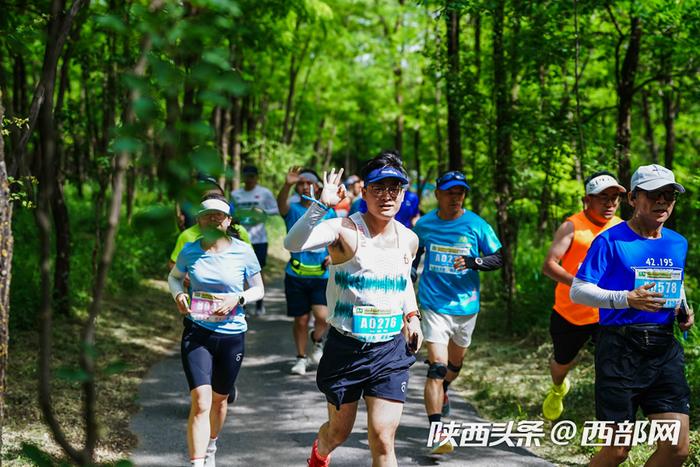 超3000名跑友竞速槐林间 陕西·永寿山地越野赛举行