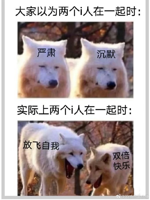 i人 和e人的整活区别太大了