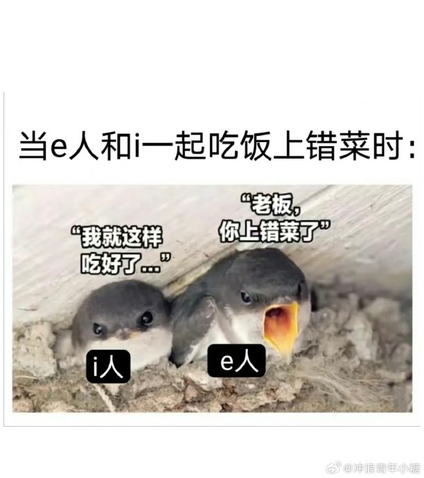 i人 和e人的整活区别太大了