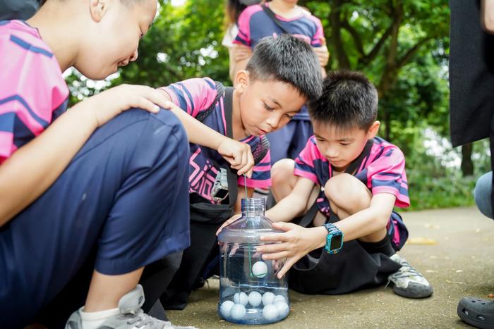 南宁市滨湖路小学英华校区开展互动沉浸式科普研学活动