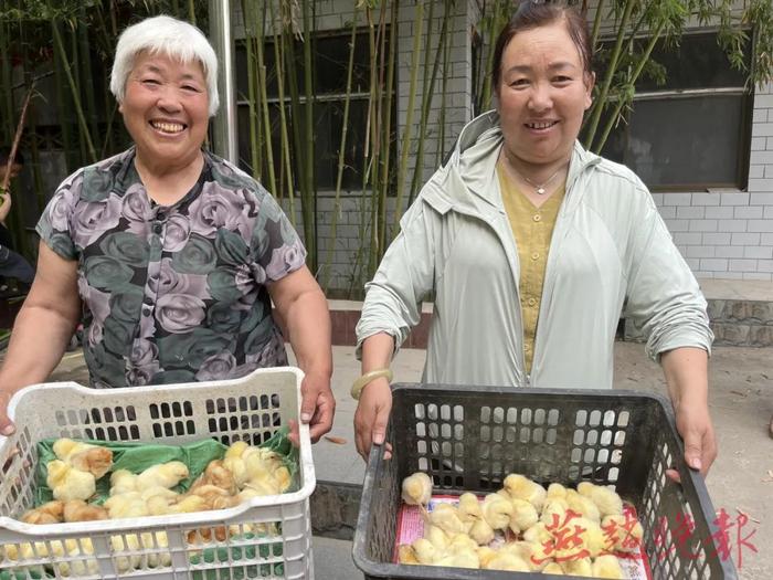 9000只雏鸡送给行唐县东沟村村民