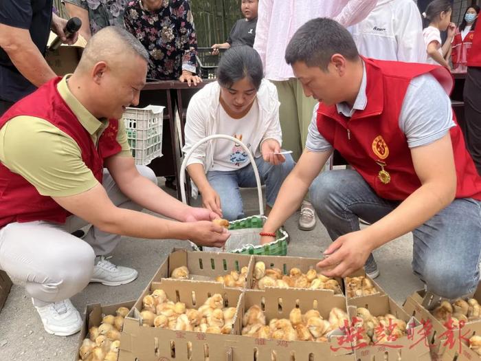 9000只雏鸡送给行唐县东沟村村民