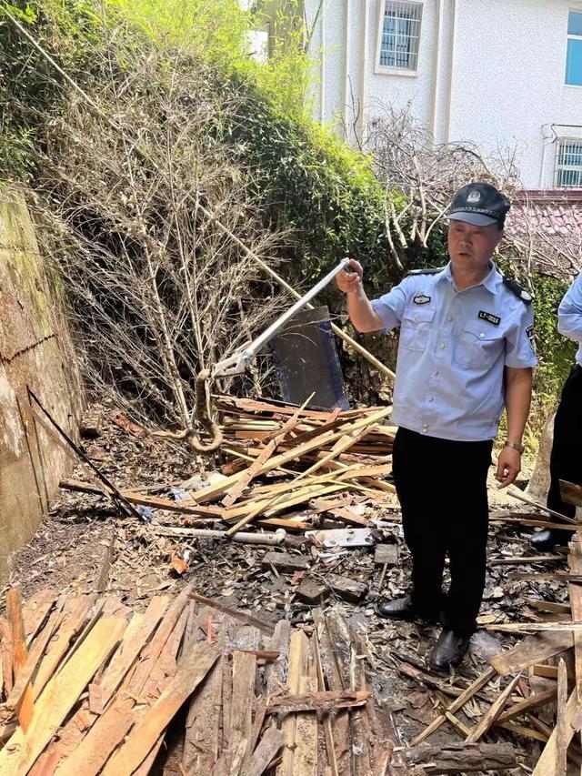 小心蛇出没！高峰期将至，杭州有人家里发现了……