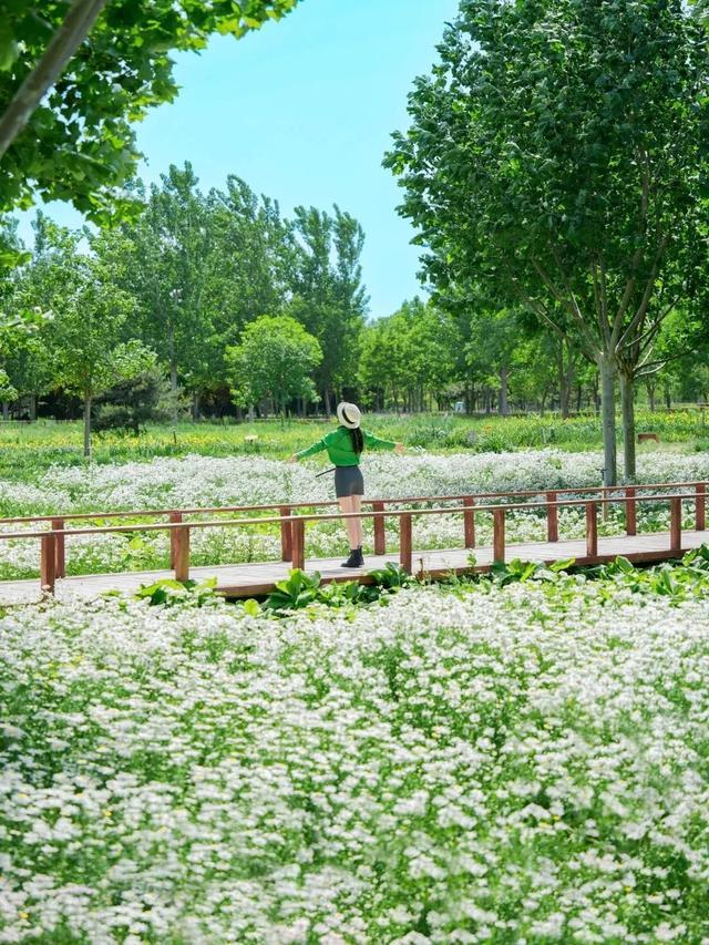 镜头里的北京｜一周精选：初夏，去花开的地方见面吧