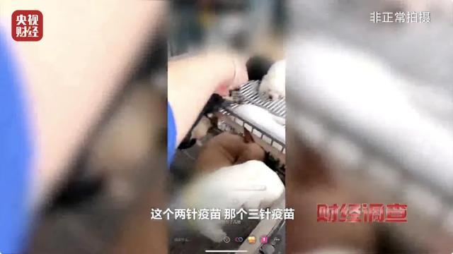 直播间买的宠物到家7天就死亡，体检、疫苗接种全是假的！江苏沛县回应