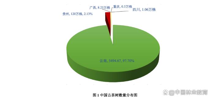 最新数据：中国古茶树5600多万株