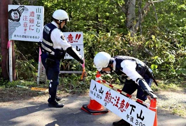 日媒：两名警察被熊重伤，日本鹿角市紧急扩大山林禁入区