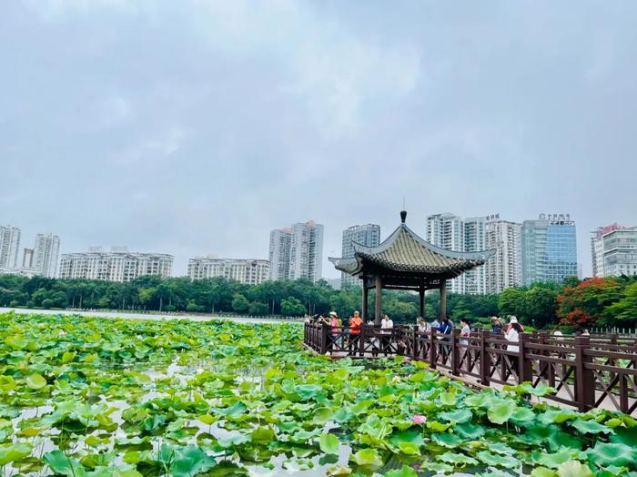 警惕！广西进入“高温高湿”状态！未来一周或将迎2轮强降雨→