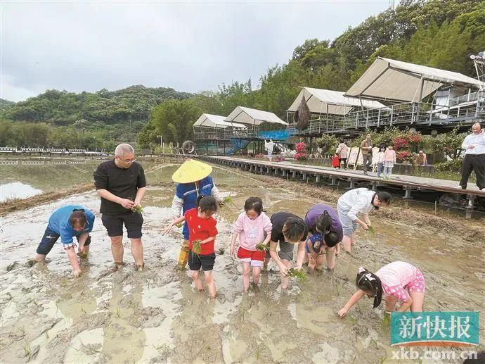 越秀区教育局：学校开展研学不得以营利为目的