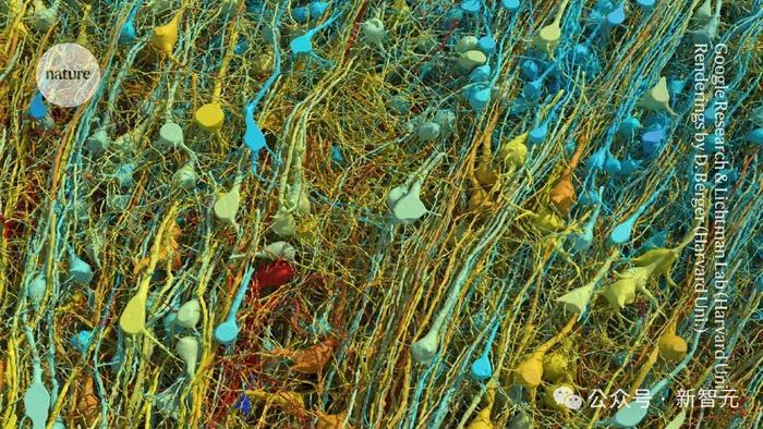 此前,谷歌的十年神经科学成果——人脑图谱,登上了Science。人们被这张1立方毫米的纳米级人脑皮层图震撼到了