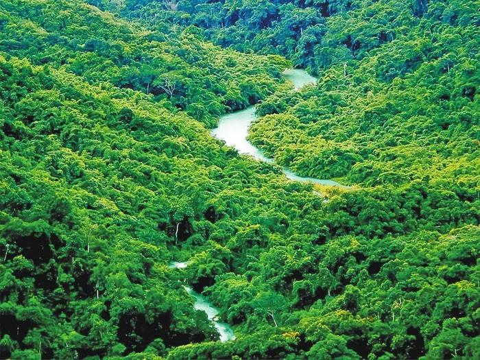 云南这个自然保护区，生物家族频频“上新”