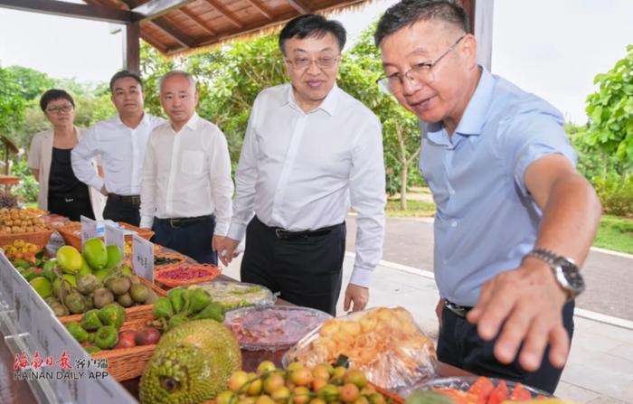 省委书记调研“网红村”，与动漫创作者交谈