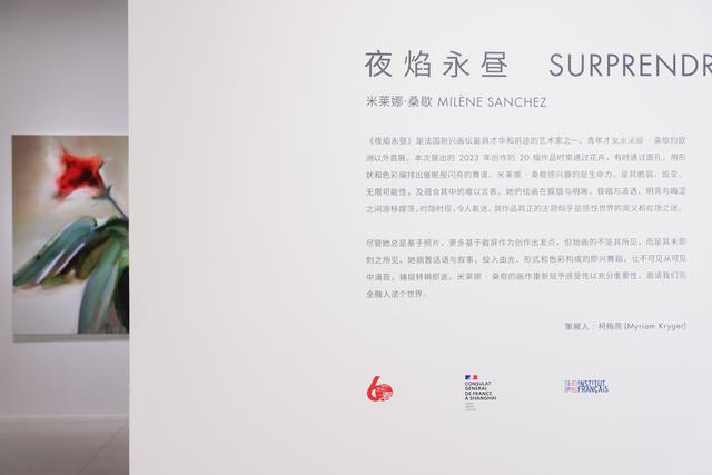 法国画家米莱娜·桑歇个展在沪举办，生命的在场与感性的流动