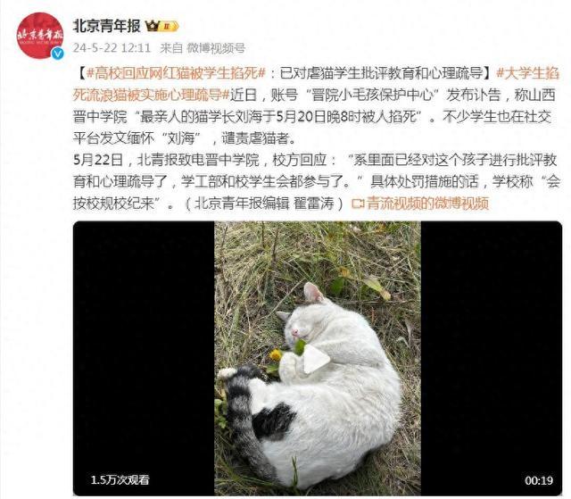 高校回应网红猫被学生掐死：已对虐猫学生批评教育和心理疏导