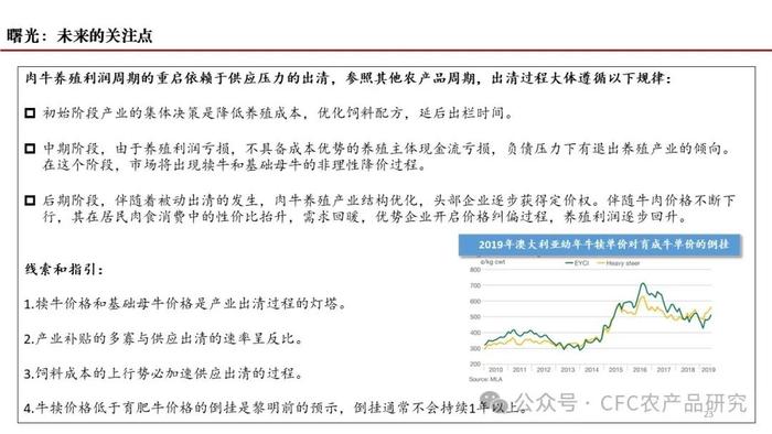 【深度报告】2024年我国肉牛市场展望 --困境反转的线索