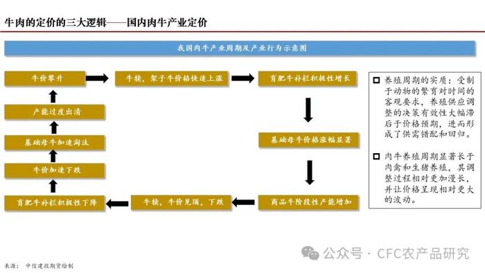 【深度报告】2024年我国肉牛市场展望 --困境反转的线索