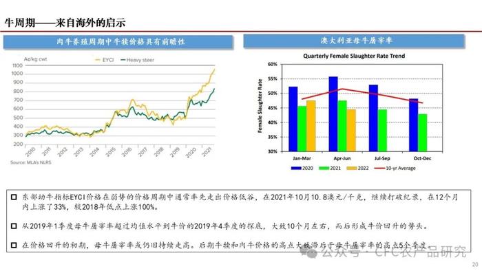 【深度报告】2024年我国肉牛市场展望 --困境反转的线索