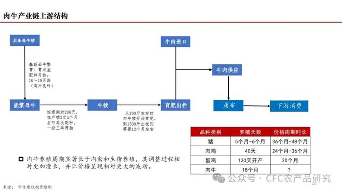 【深度报告】2024年我国肉牛市场展望 --困境反转的线索