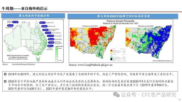 【深度报告】2024年我国肉牛市场展望 --困境反转的线索