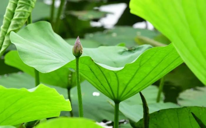 今年第一个35℃马上来了！冷空气这天杀到杭州！那句老话又说对了……