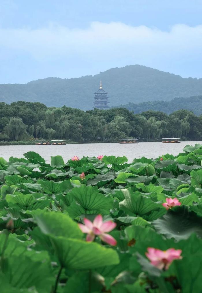 今年第一个35℃马上来了！冷空气这天杀到杭州！那句老话又说对了……