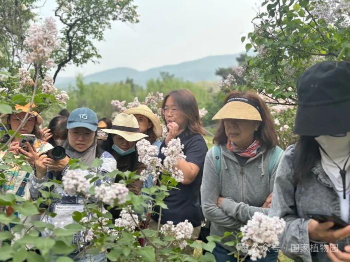 活动招募丨专家带您识花草——月季品种识别