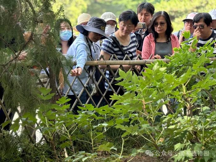 活动招募丨专家带您识花草——月季品种识别