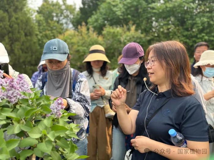 活动招募丨专家带您识花草——月季品种识别