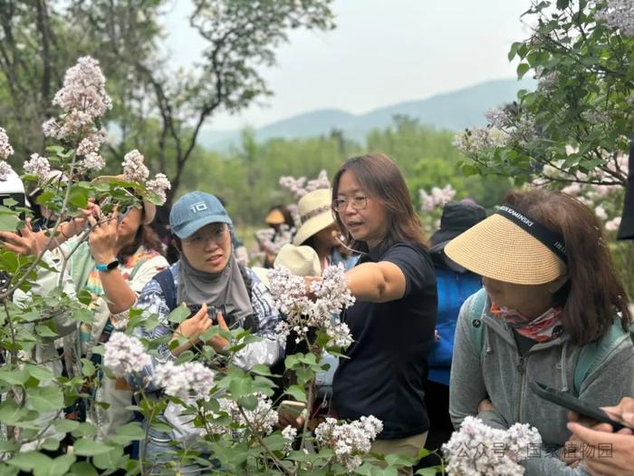 活动招募丨专家带您识花草——月季品种识别