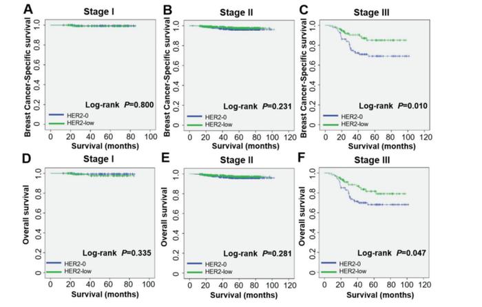 中国数据：HER2低表达与早期TNBC患者更好的乳腺癌特异性生存相关