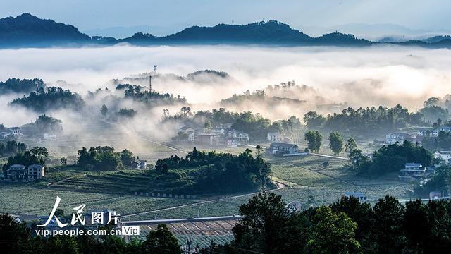 重庆：和美乡村景如画