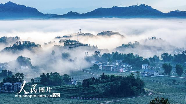 重庆：和美乡村景如画