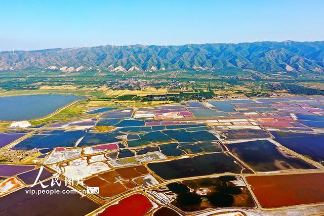 山西运城：夏日盐湖色彩斑斓