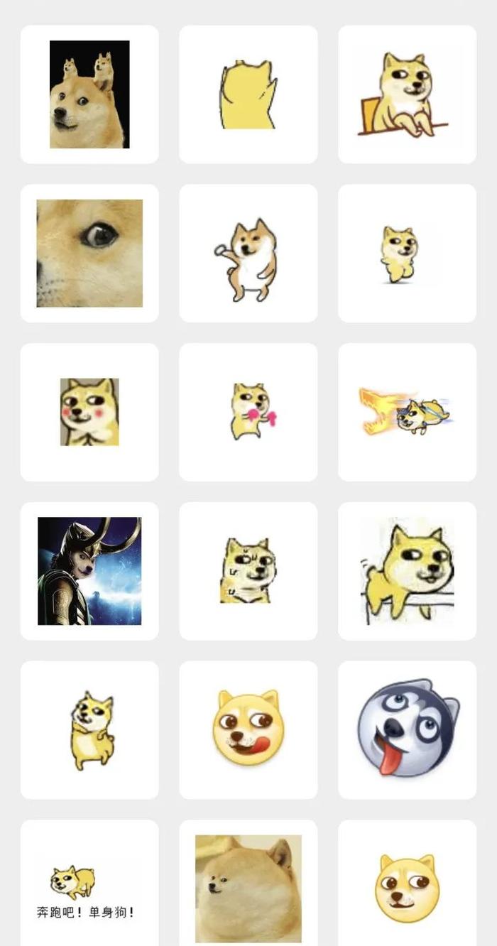 很突然！doge表情包原型去世