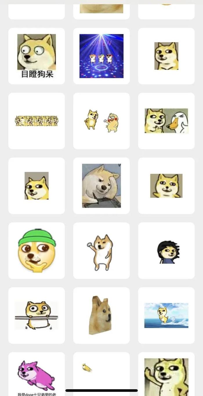 很突然！doge表情包原型去世