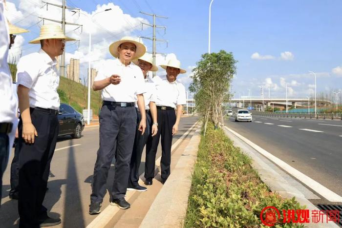 李红军调研洪州大道（洪州大桥）、复兴大道（复兴大桥）建设工作