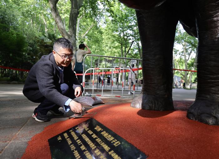 你还记得它吗？上海动物园，版纳“回来了”！